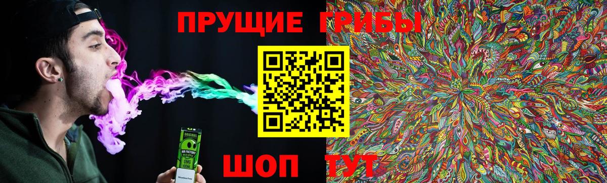 где купить наркотик  Псилоцибиновые грибы MAGIC MUSHROOMS  Псилоцибиновые грибы мицелий  Вход с VPN  Великий Новгород 